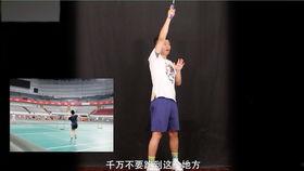 杨晨大神最新爆料新闻,揭秘娱乐圈惊人内幕